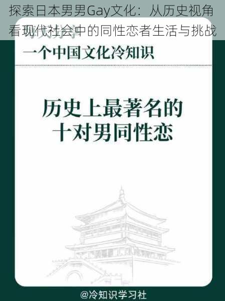 探索日本男男Gay文化：从历史视角看现代社会中的同性恋者生活与挑战