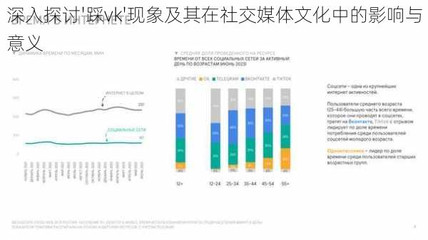 深入探讨'踩vk'现象及其在社交媒体文化中的影响与意义