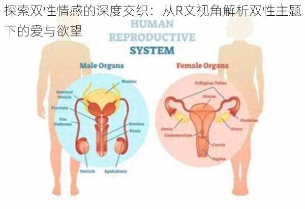 探索双性情感的深度交织：从R文视角解析双性主题下的爱与欲望