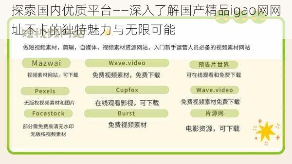 探索国内优质平台——深入了解国产精品igao网网址不卡的独特魅力与无限可能