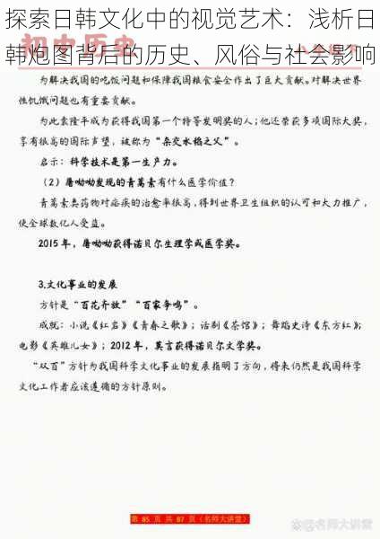 探索日韩文化中的视觉艺术：浅析日韩炮图背后的历史、风俗与社会影响