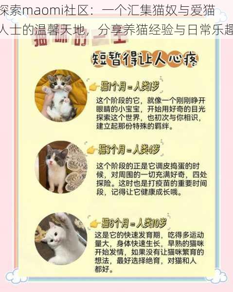 探索maomi社区：一个汇集猫奴与爱猫人士的温馨天地，分享养猫经验与日常乐趣