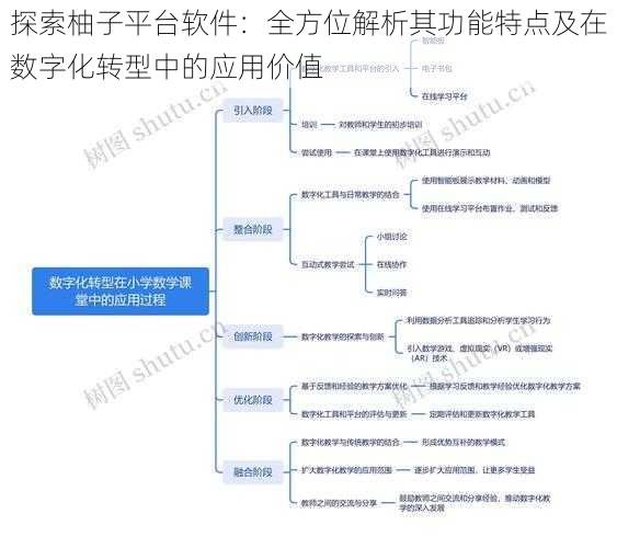 探索柚子平台软件：全方位解析其功能特点及在数字化转型中的应用价值