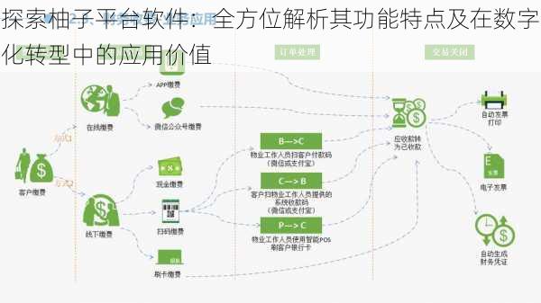 探索柚子平台软件：全方位解析其功能特点及在数字化转型中的应用价值