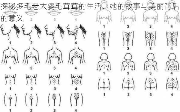 探秘多毛老太婆毛茸茸的生活，她的故事与美丽背后的意义
