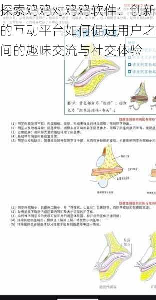 探索鸡鸡对鸡鸡软件：创新的互动平台如何促进用户之间的趣味交流与社交体验