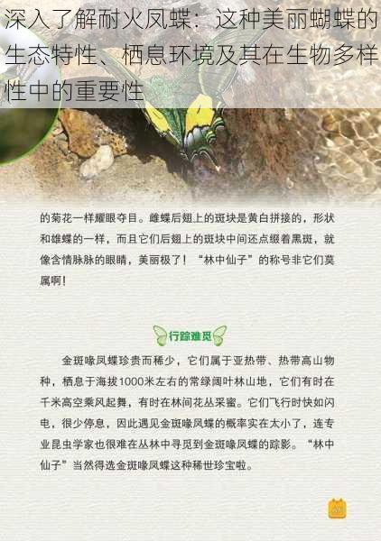 深入了解耐火凤蝶：这种美丽蝴蝶的生态特性、栖息环境及其在生物多样性中的重要性