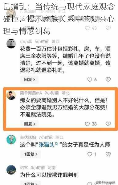 岳婿乱：当传统与现代家庭观念碰撞，揭示家族关系中的复杂心理与情感纠葛