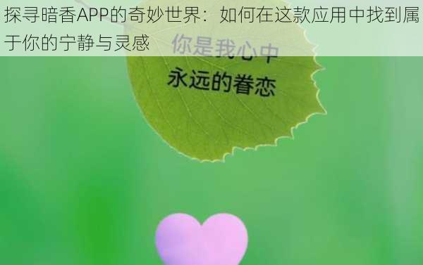 探寻暗香APP的奇妙世界：如何在这款应用中找到属于你的宁静与灵感