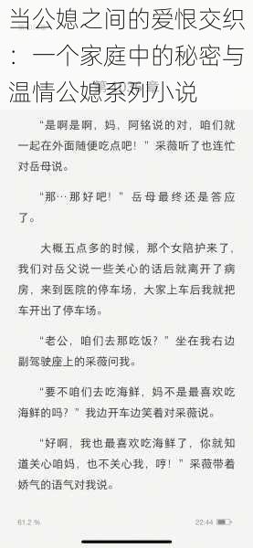 当公媳之间的爱恨交织：一个家庭中的秘密与温情公媳系列小说