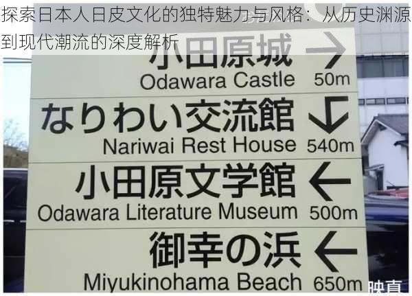 探索日本人日皮文化的独特魅力与风格：从历史渊源到现代潮流的深度解析