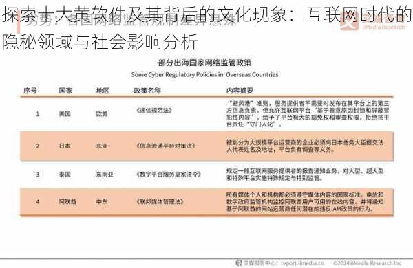 探索十大黄软件及其背后的文化现象：互联网时代的隐秘领域与社会影响分析