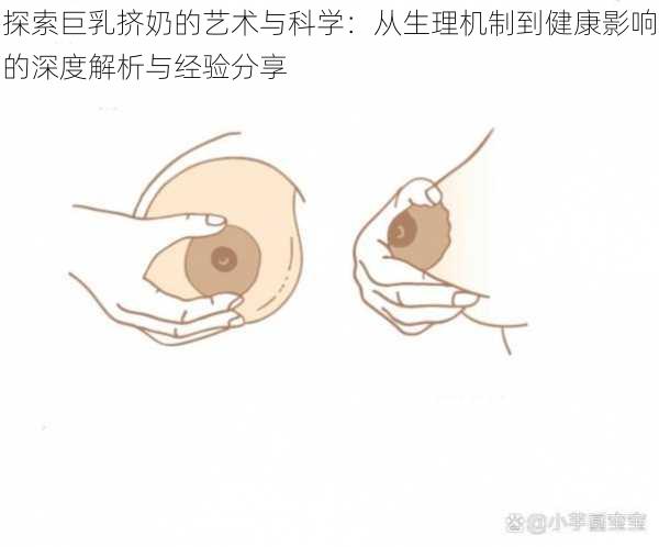 探索巨乳挤奶的艺术与科学：从生理机制到健康影响的深度解析与经验分享