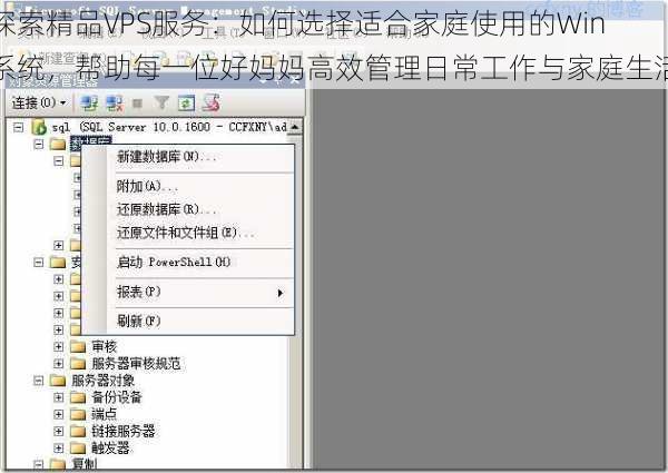探索精品VPS服务：如何选择适合家庭使用的Win系统，帮助每一位好妈妈高效管理日常工作与家庭生活