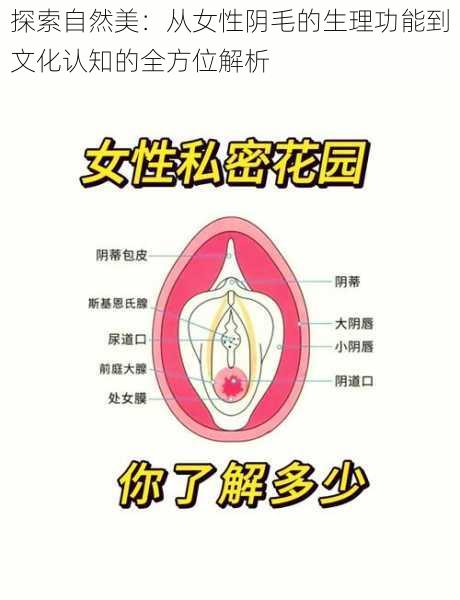 探索自然美：从女性阴毛的生理功能到文化认知的全方位解析