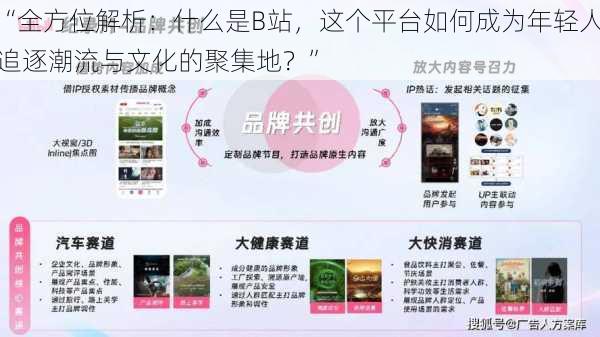 “全方位解析：什么是B站，这个平台如何成为年轻人追逐潮流与文化的聚集地？”