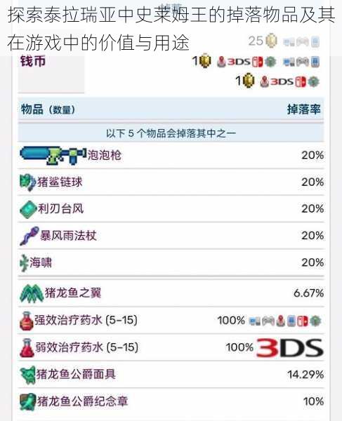 探索泰拉瑞亚中史莱姆王的掉落物品及其在游戏中的价值与用途