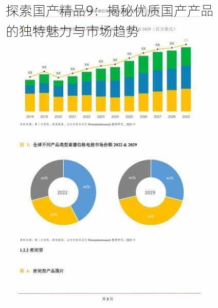 探索国产精品9：揭秘优质国产产品的独特魅力与市场趋势