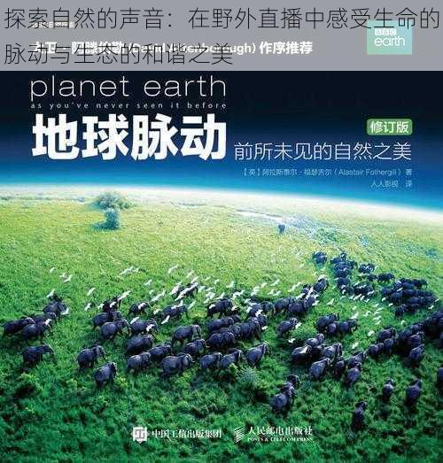 探索自然的声音：在野外直播中感受生命的脉动与生态的和谐之美