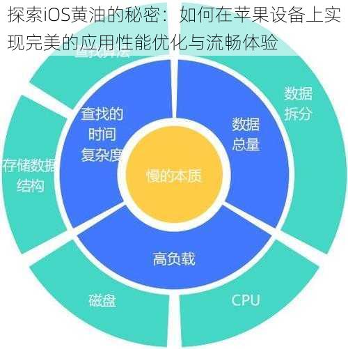 探索iOS黄油的秘密：如何在苹果设备上实现完美的应用性能优化与流畅体验