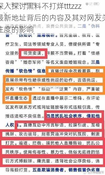 深入探讨黑料不打烊tttzzz最新地址背后的内容及其对网友关注度的影响