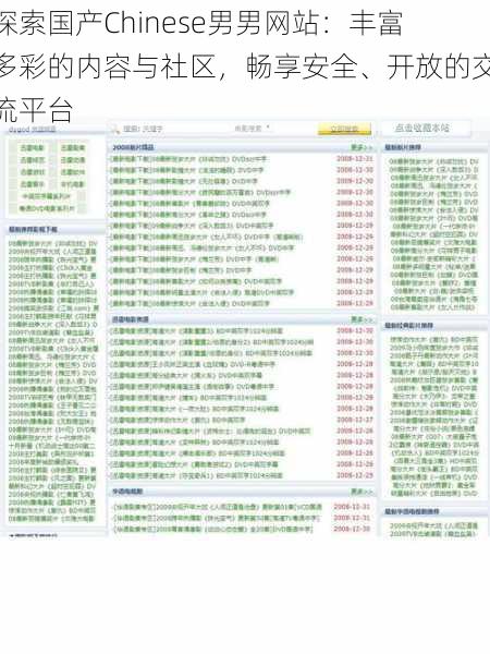 探索国产Chinese男男网站：丰富多彩的内容与社区，畅享安全、开放的交流平台