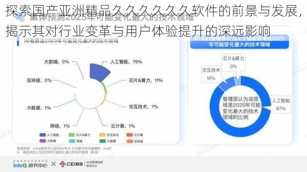 探索国产亚洲精品久久久久久久软件的前景与发展，揭示其对行业变革与用户体验提升的深远影响