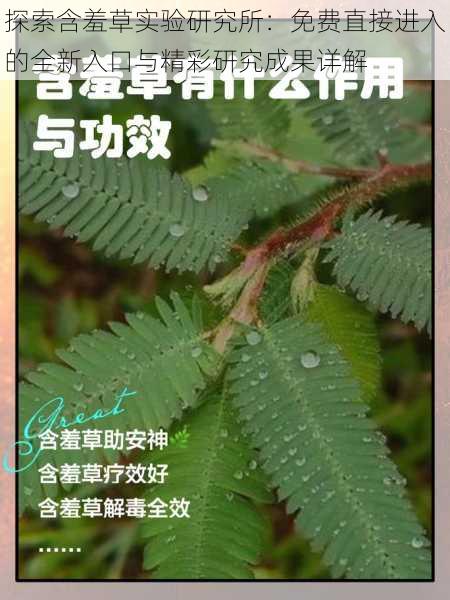 探索含羞草实验研究所：免费直接进入的全新入口与精彩研究成果详解