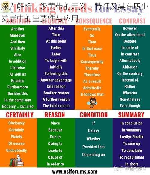 深入解析一级黄带的定义、特征及其在职业发展中的重要性与应用