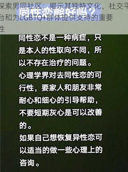 探索男同社区：揭示其独特文化、社交平台和为LGBTQ+群体提供支持的重要性