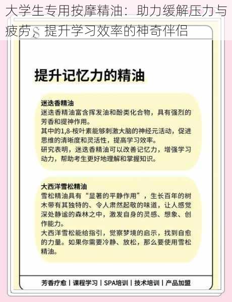 大学生专用按摩精油：助力缓解压力与疲劳，提升学习效率的神奇伴侣