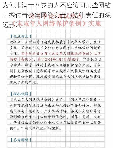 为何未满十八岁的人不应访问某些网站？探讨青少年网络安全与法律责任的深远影响