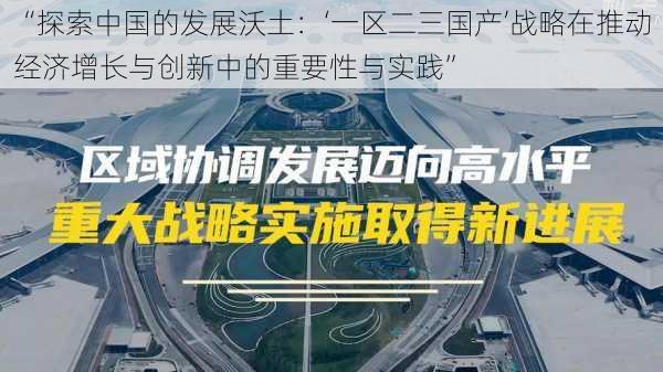 “探索中国的发展沃土：‘一区二三国产’战略在推动经济增长与创新中的重要性与实践”