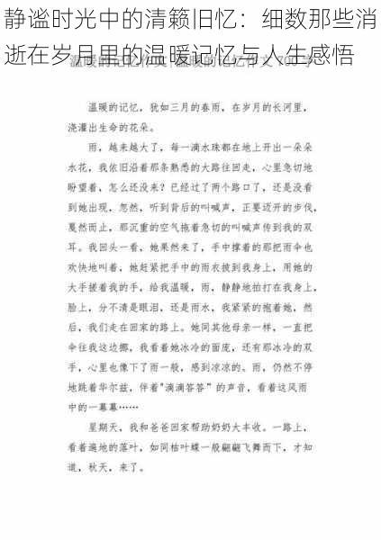 静谧时光中的清籁旧忆：细数那些消逝在岁月里的温暖记忆与人生感悟