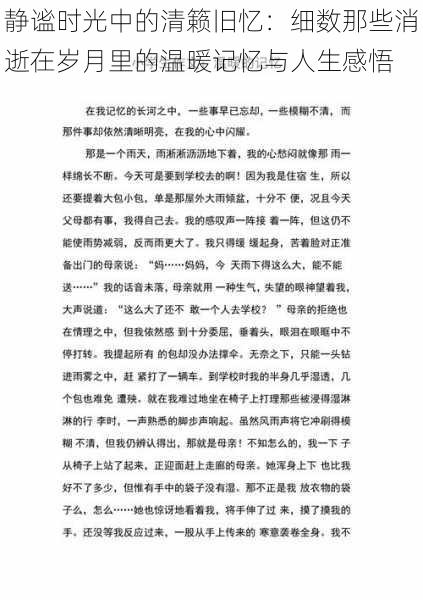 静谧时光中的清籁旧忆：细数那些消逝在岁月里的温暖记忆与人生感悟