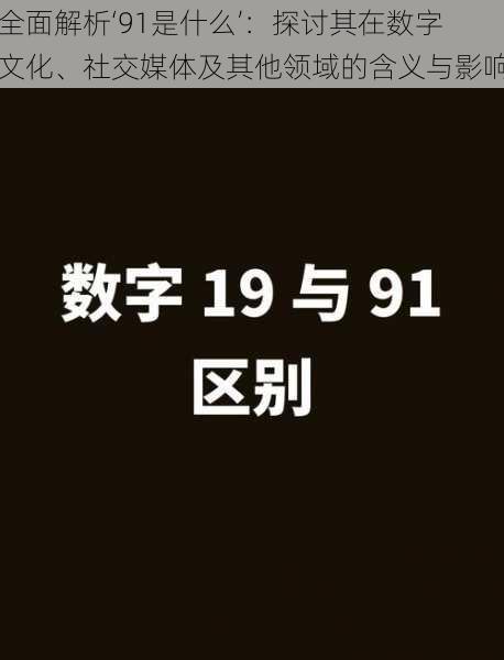 全面解析‘91是什么’：探讨其在数字文化、社交媒体及其他领域的含义与影响