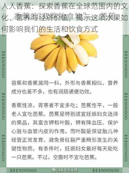 人人香蕉：探索香蕉在全球范围内的文化、营养与经济价值，揭示这项水果如何影响我们的生活和饮食方式