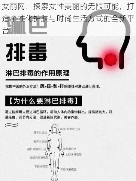 女丽网：探索女性美丽的无限可能，打造个性化护肤与时尚生活方式的全新平台