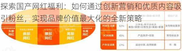 探索国产网红福利：如何通过创新营销和优质内容吸引粉丝，实现品牌价值最大化的全新策略