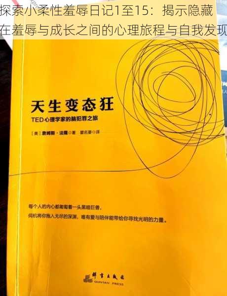 探索小柔性羞辱日记1至15：揭示隐藏在羞辱与成长之间的心理旅程与自我发现