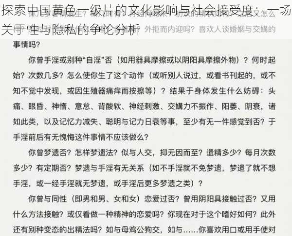 探索中国黄色一级片的文化影响与社会接受度：一场关于性与隐私的争论分析