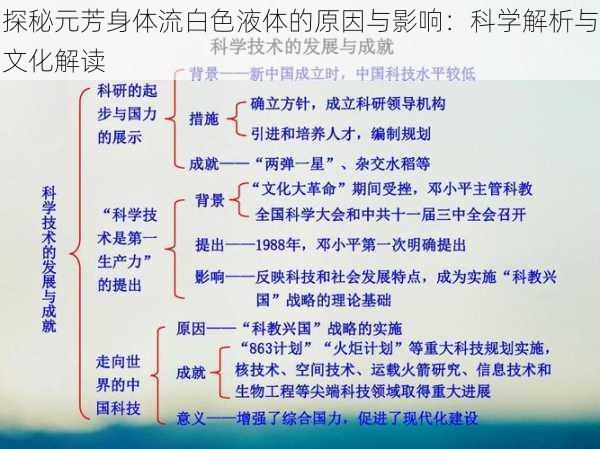 探秘元芳身体流白色液体的原因与影响：科学解析与文化解读