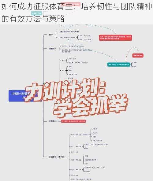 如何成功征服体育生：培养韧性与团队精神的有效方法与策略