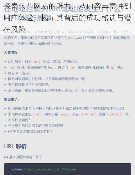 探索久艹网站的魅力：从内容丰富性到用户体验，揭示其背后的成功秘诀与潜在风险