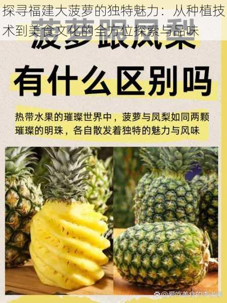 探寻福建大菠萝的独特魅力：从种植技术到美食文化的全方位探索与品味