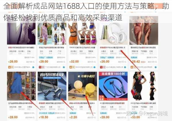 全面解析成品网站1688入口的使用方法与策略，助你轻松找到优质商品和高效采购渠道