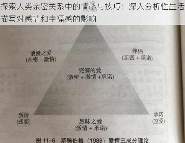 探索人类亲密关系中的情感与技巧：深入分析性生活描写对感情和幸福感的影响