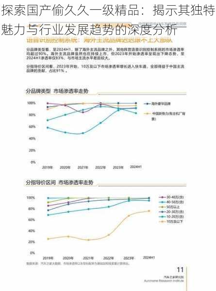 探索国产偷久久一级精品：揭示其独特魅力与行业发展趋势的深度分析