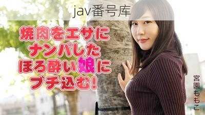 jav番号库