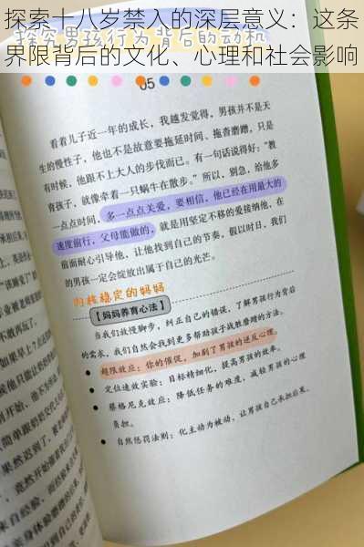 探索十八岁禁入的深层意义：这条界限背后的文化、心理和社会影响